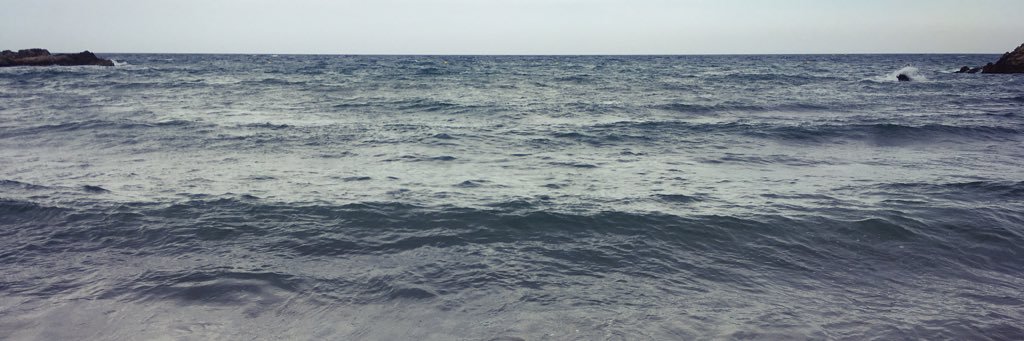 renata_dangelo's profile banner image