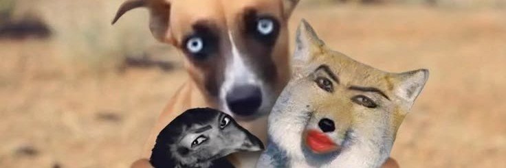 emi_lovvs's profile banner image