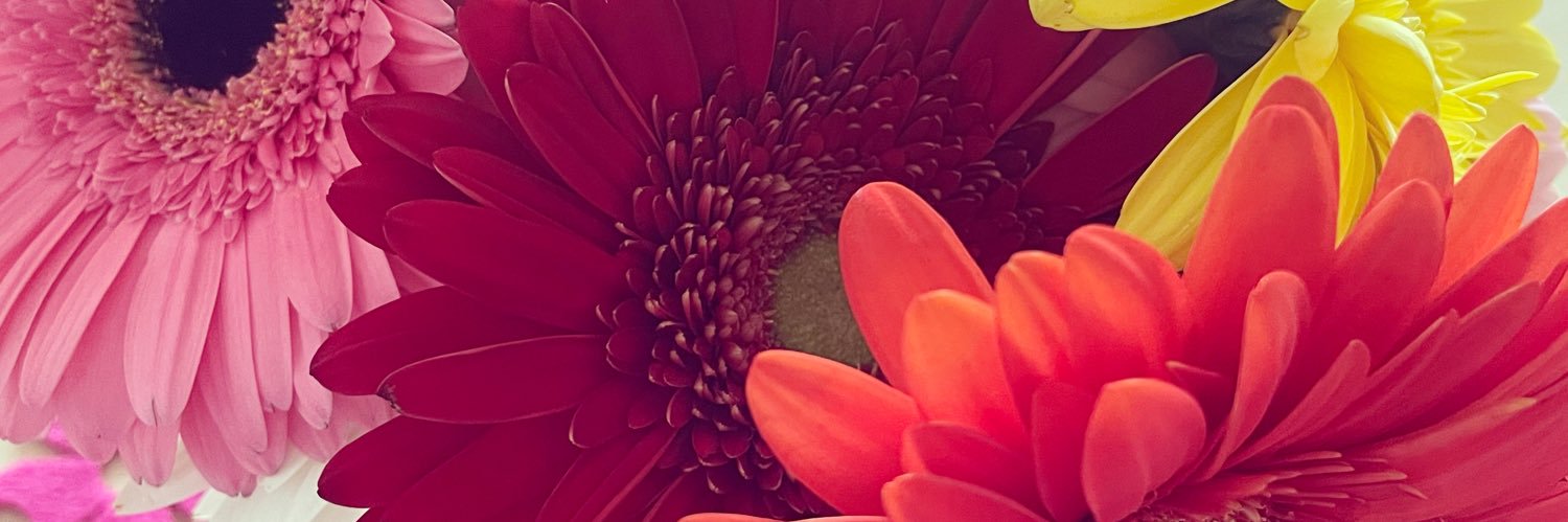 mscdavidson's profile banner image