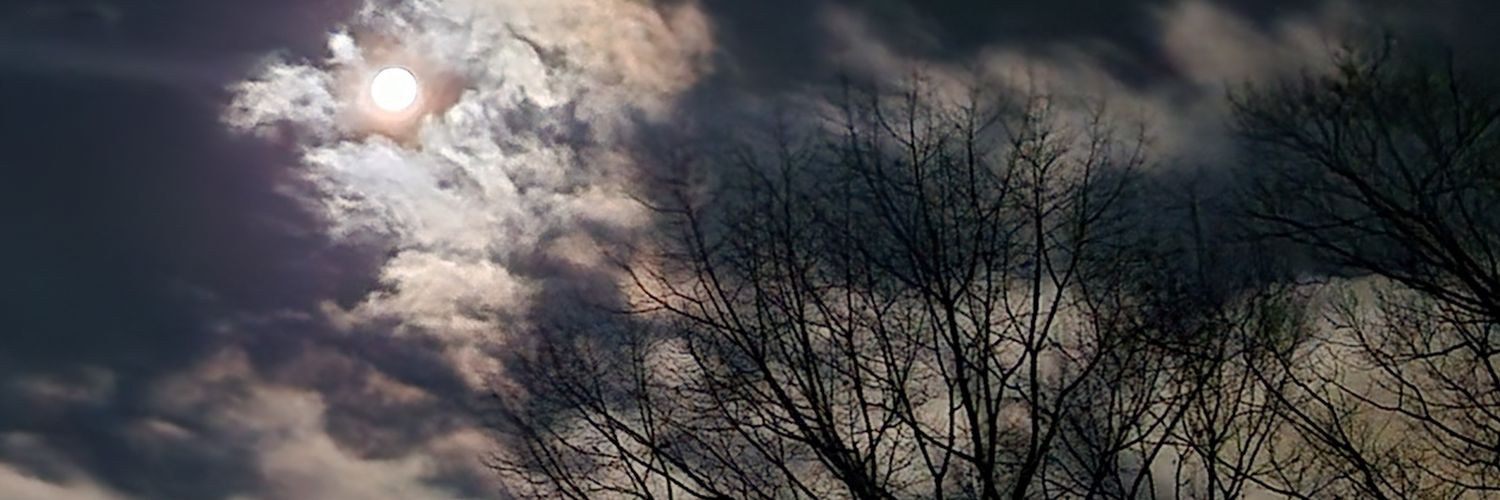 h e a v e n l y banner