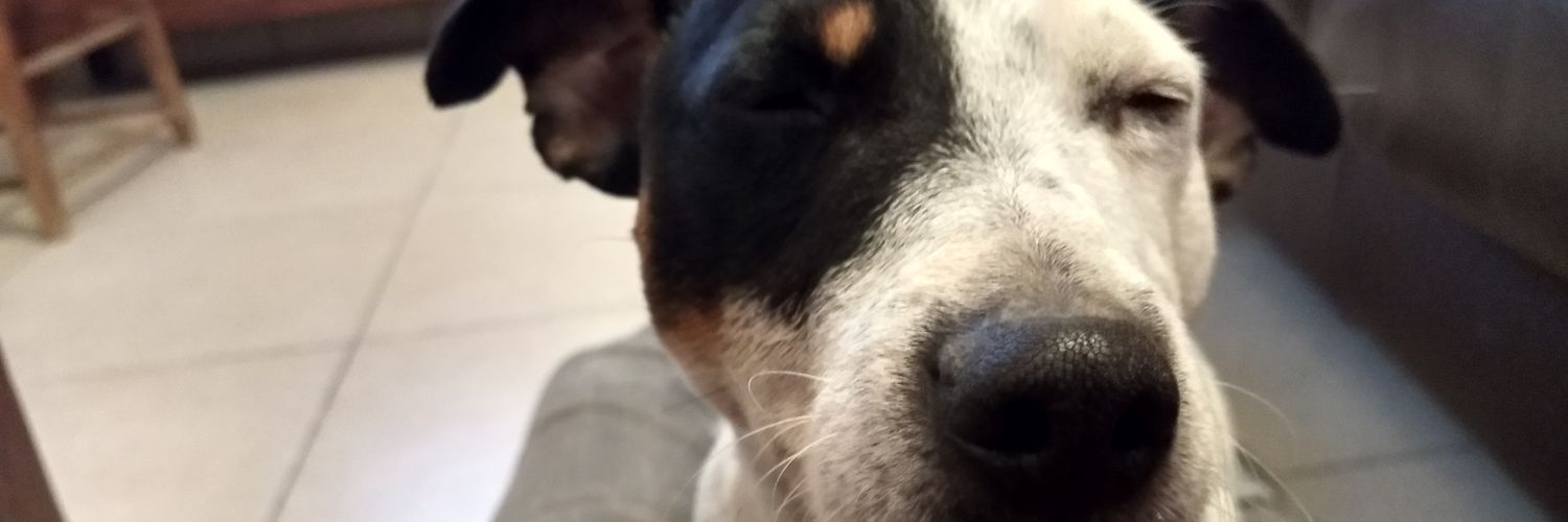HugoPango's profile banner image