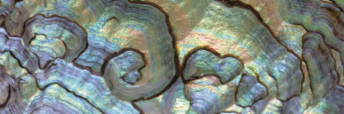 hockney66's profile banner image