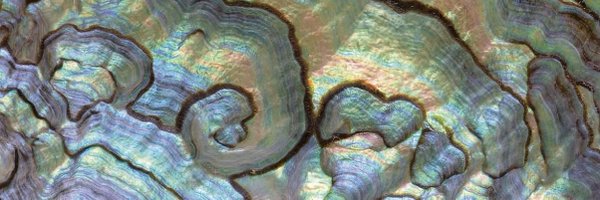 hockney66 Profile Banner