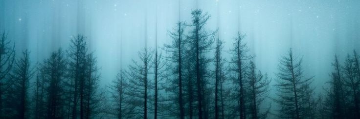 👻 banner
