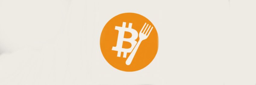 BitcoinForkSol's profile banner image