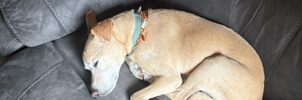 LinkerOfLists Profile Banner