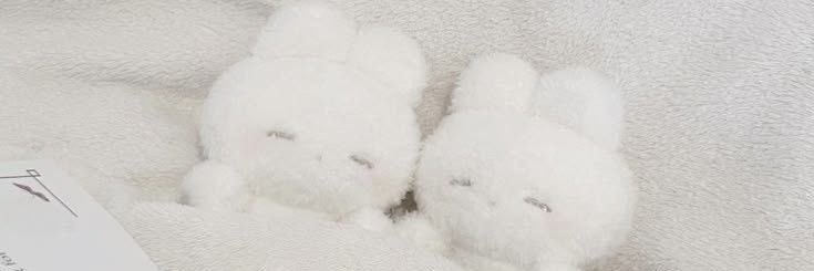 _v0cal's profile banner image