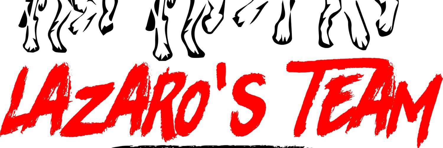 Lazarosteam's profile banner image