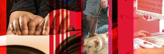 cecs cat banner