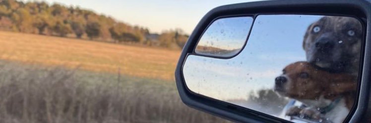 haught1232's profile banner image