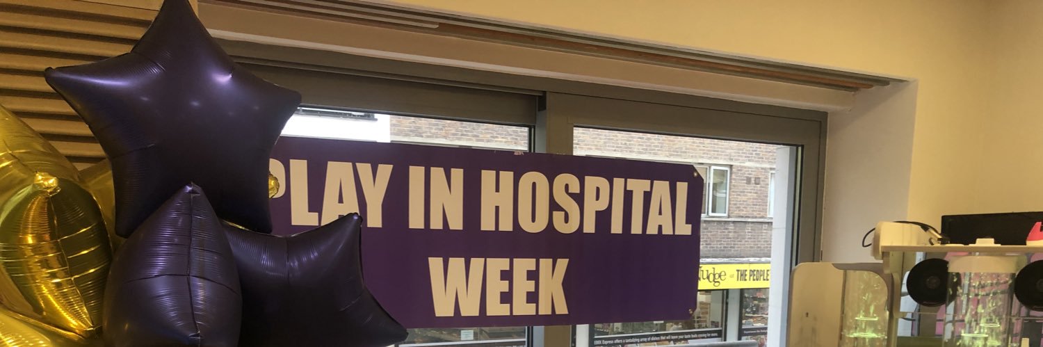 Sallyanne banner