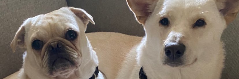 bryan__jd's profile banner image