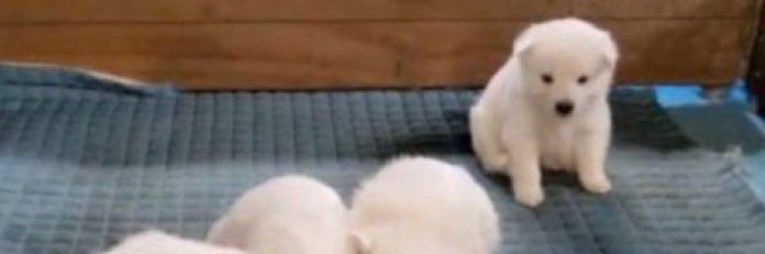 อัยคลุง banner