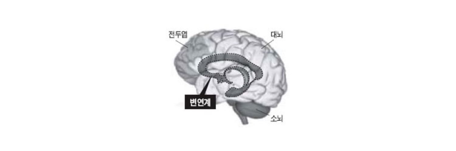 @ㅕ⌞ㅉ6 banner