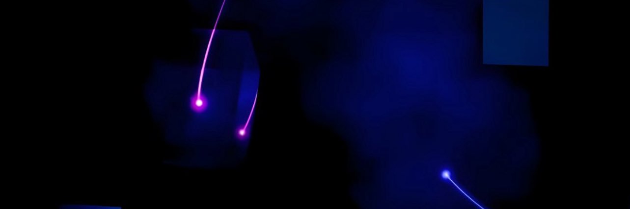 Wayne 🏴‍☠️ banner