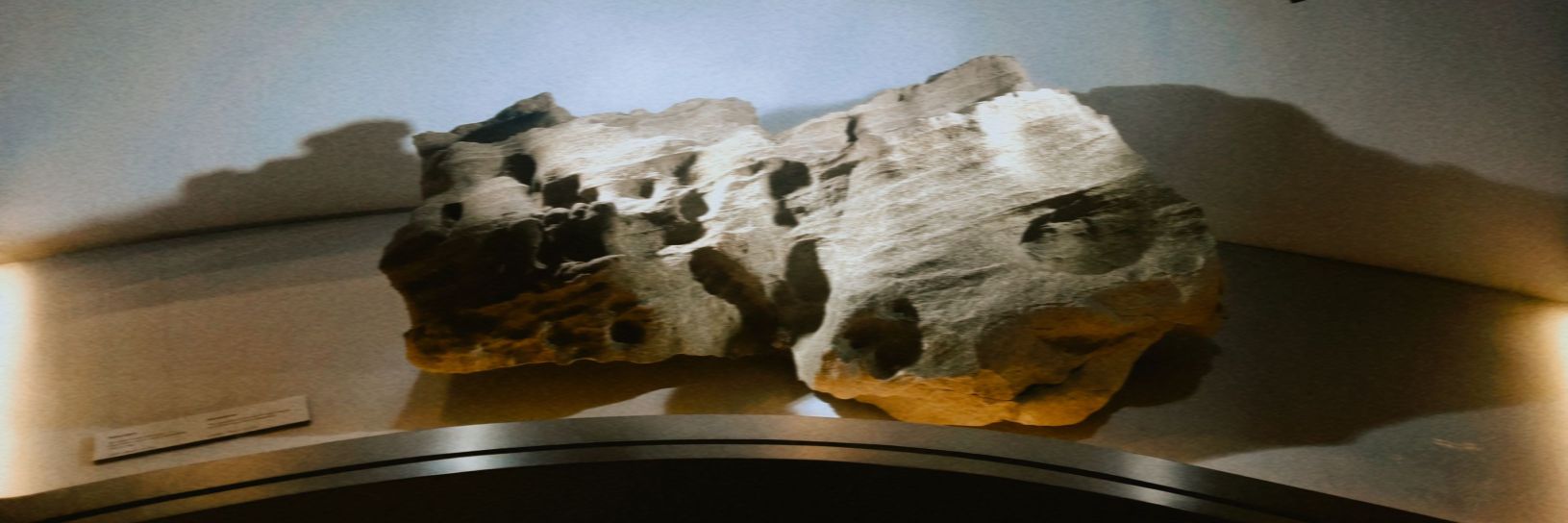 carniancorx's profile banner image