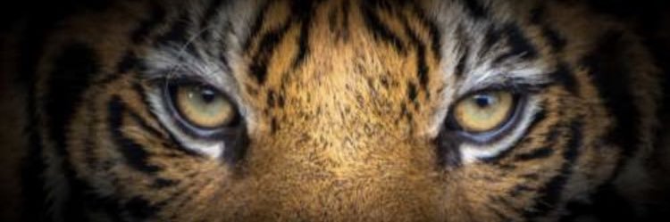 ryanarends2's profile banner image