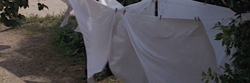 tsuki✨ banner