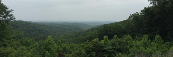 w_zemin Profile Banner