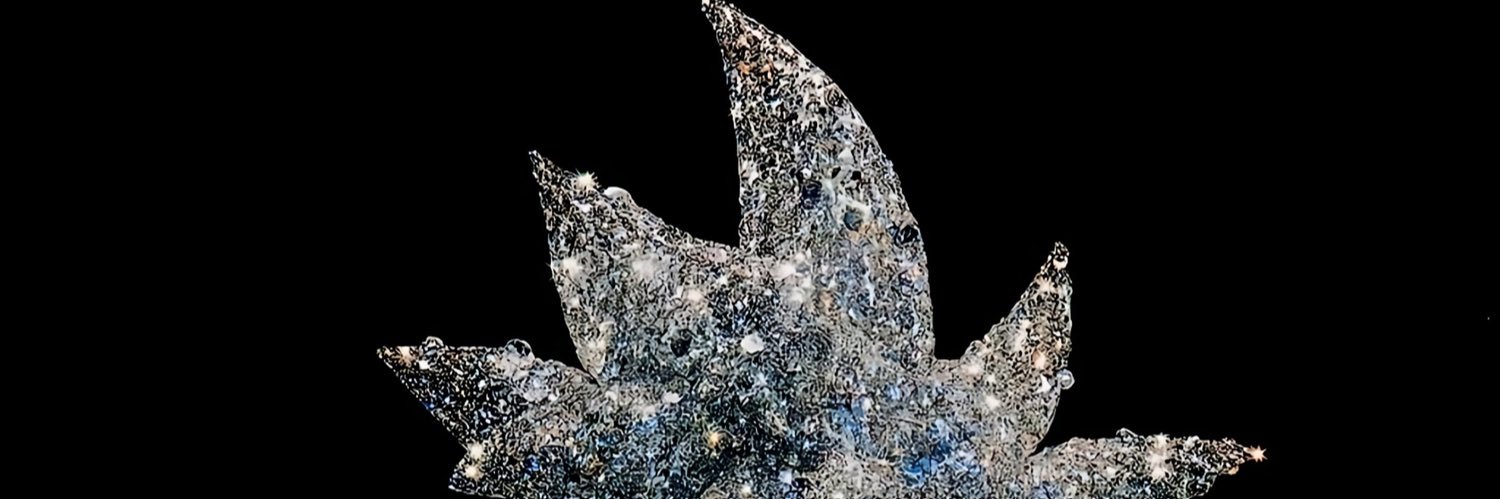 QuantViewsix's profile banner image