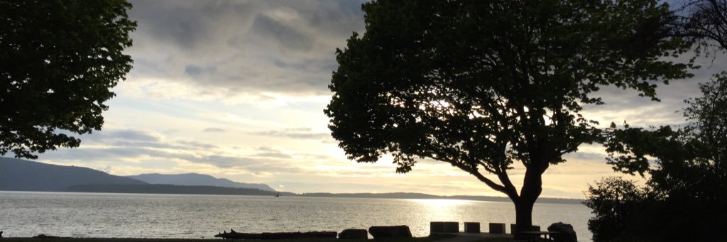 BellinghamToday banner