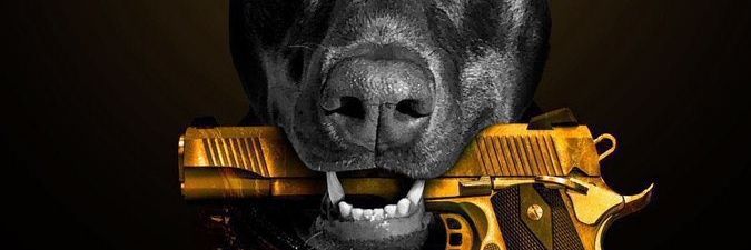 1kakrajay's profile banner image
