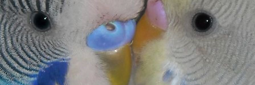 gllitpill's profile banner image