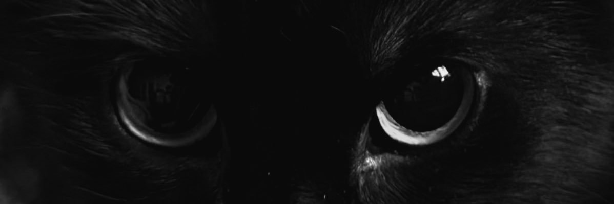ؘ banner