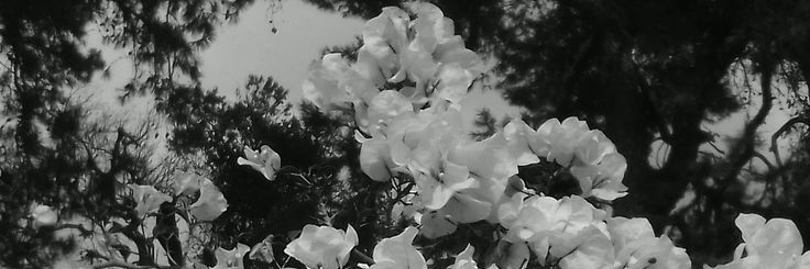 MD_Hiro_'s profile banner image