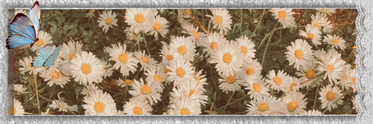 まに@取引垢 banner