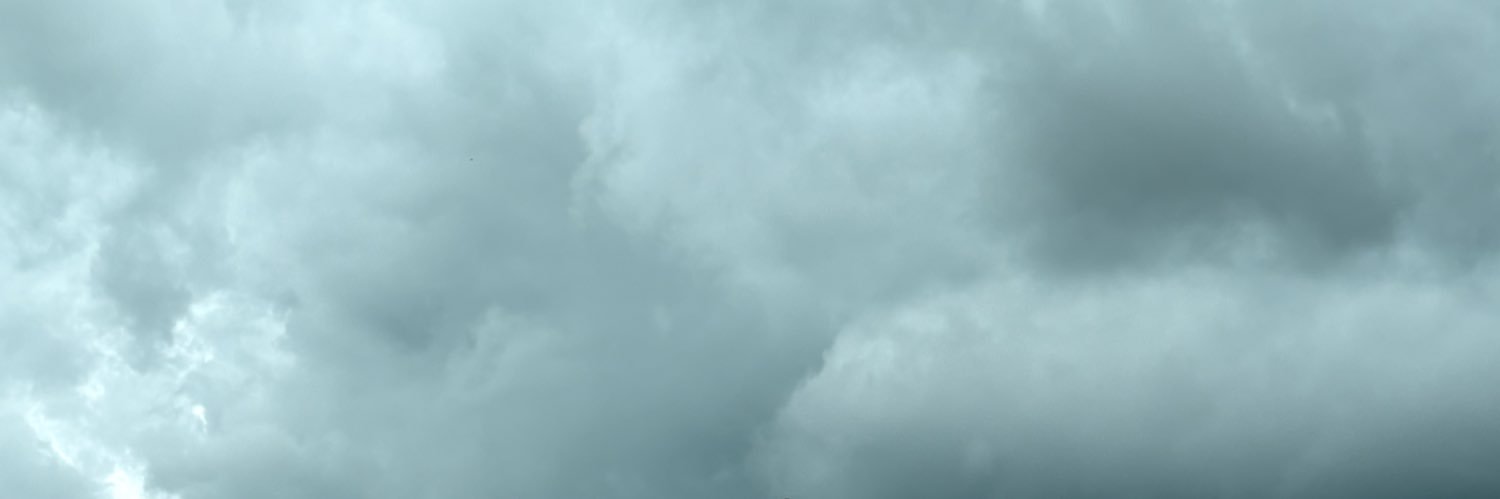 BrandonCen17's profile banner image