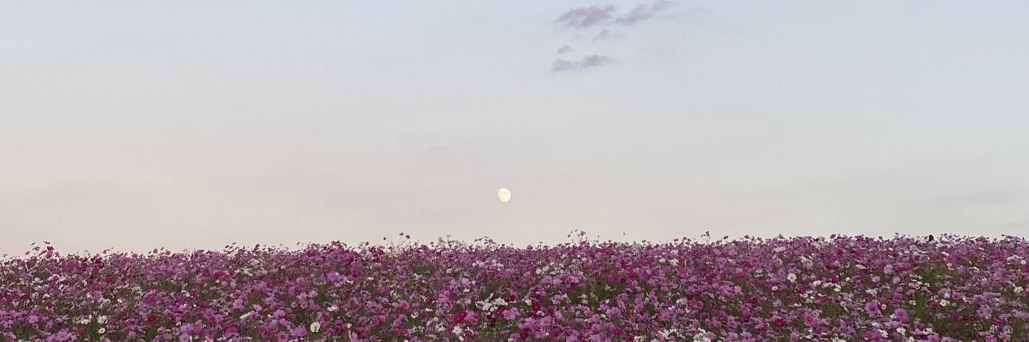 志帆 banner