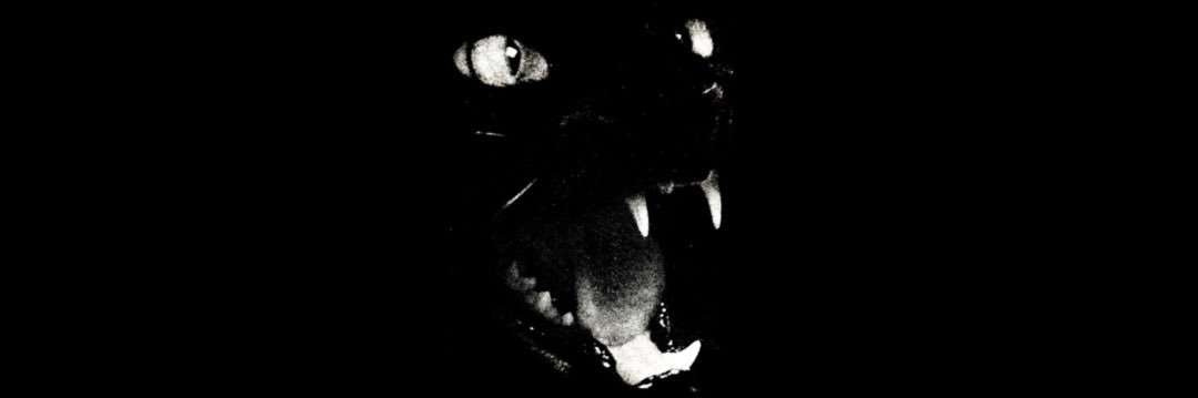 𝔖𝔞𝔟𝔯𝔦𝔫𝔞 banner