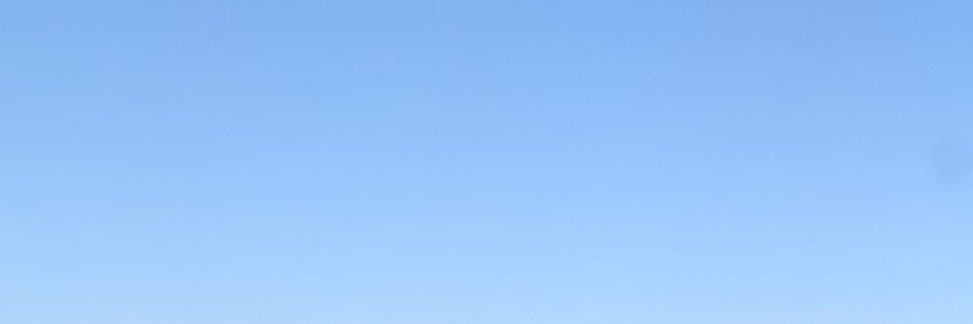NinerTeddy's profile banner image