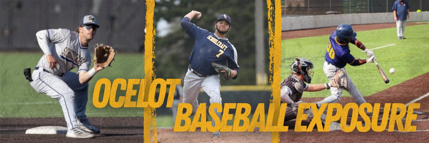 Ocelot Baseball Exposure banner