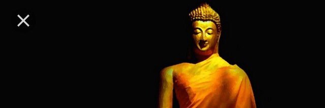 Bethan Thomas banner