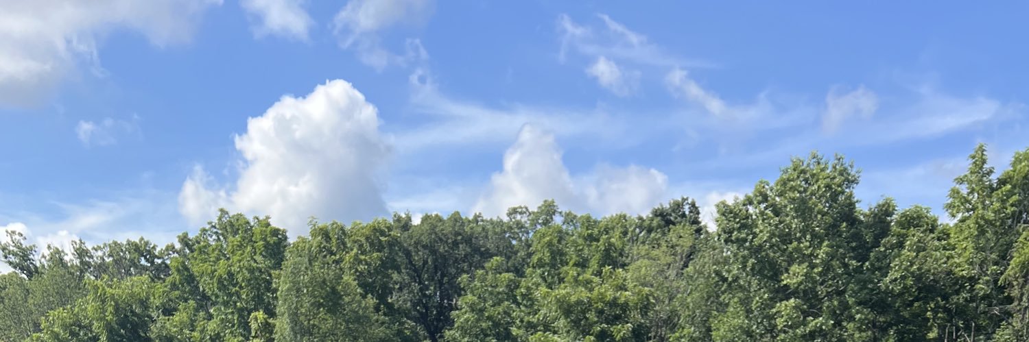 MoxyRoxy77's profile banner image