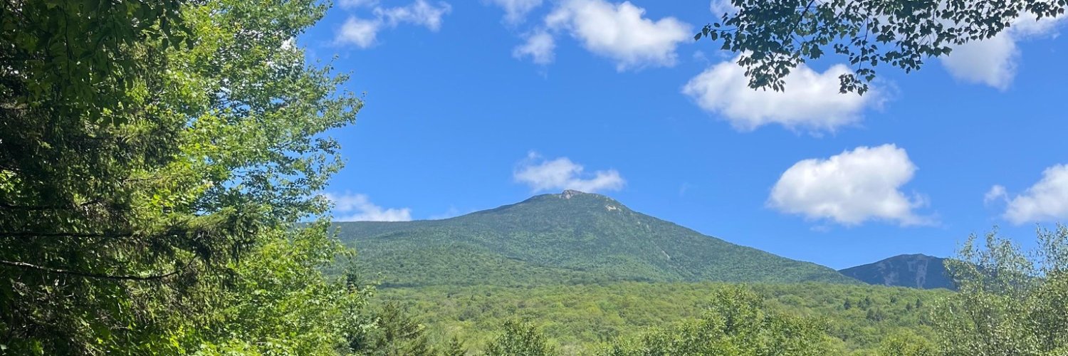 eviwusk's profile banner image