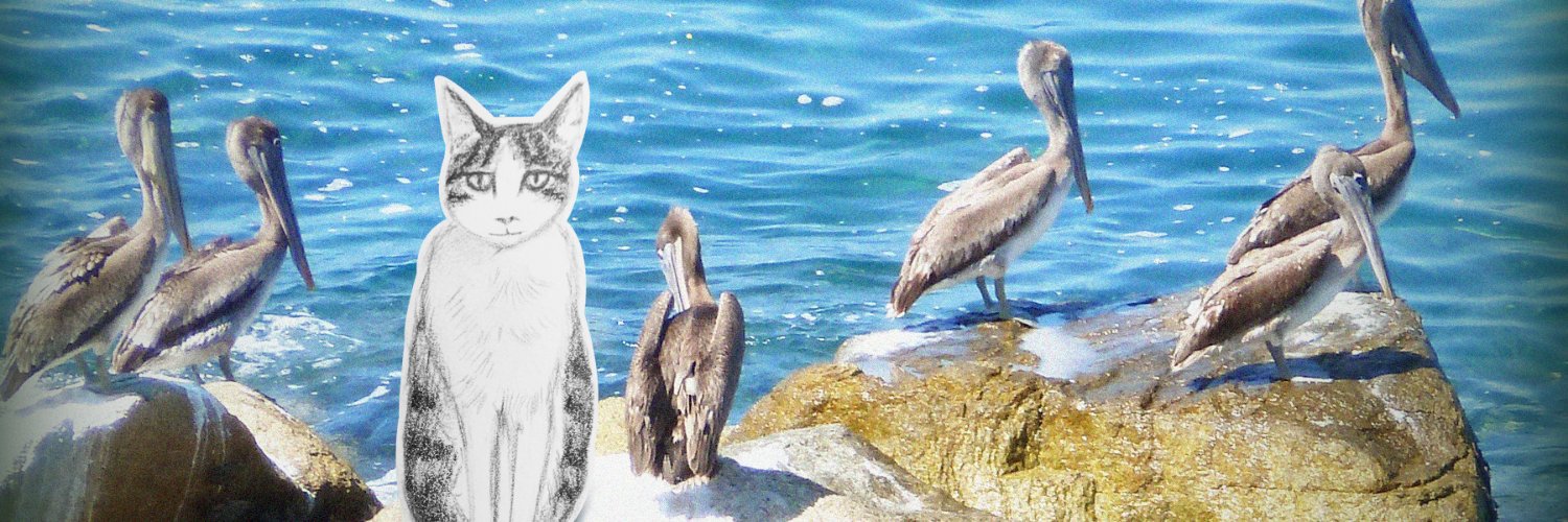 GatoAvocado's profile banner image