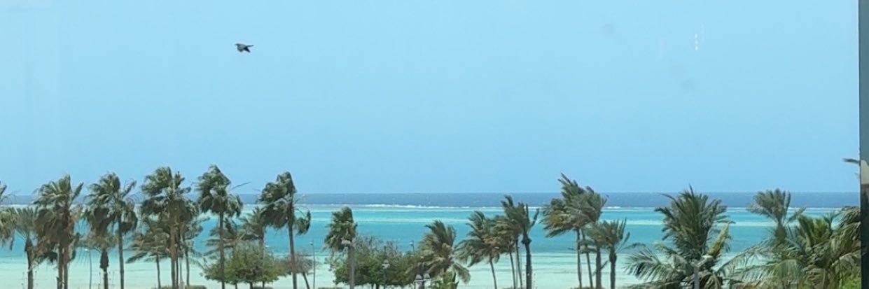 ddda_95's profile banner image