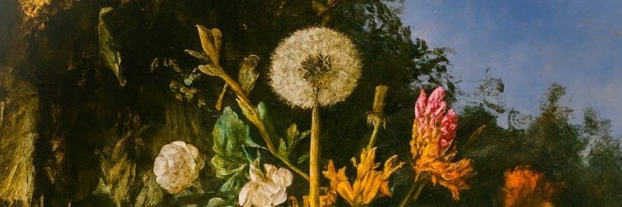 mukerremthinker's profile banner image