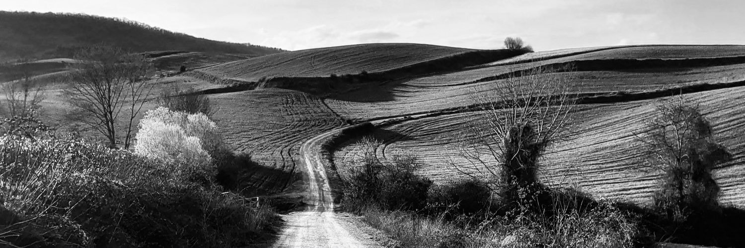 Marcos Bisquert Ribes banner