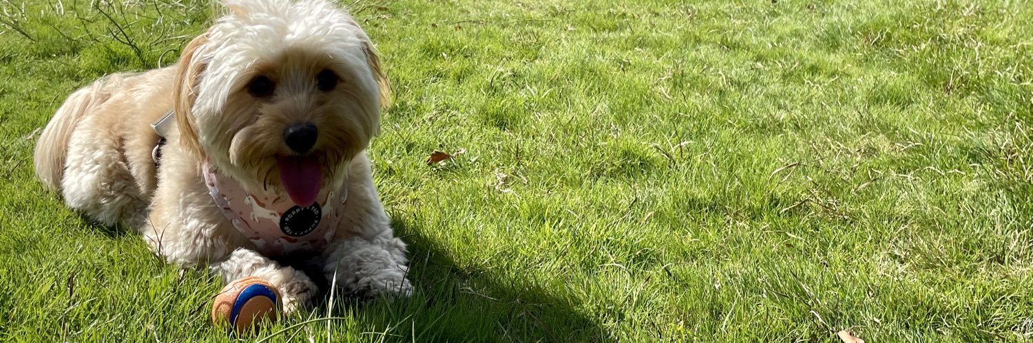 Claire Mitchell (Mills) MSc, ILM, QN banner