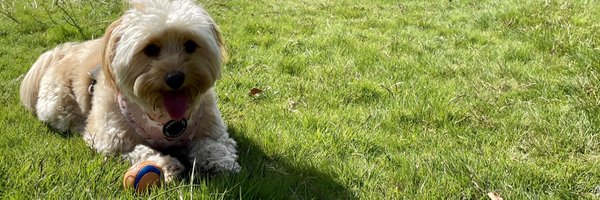 millsy17 Profile Banner