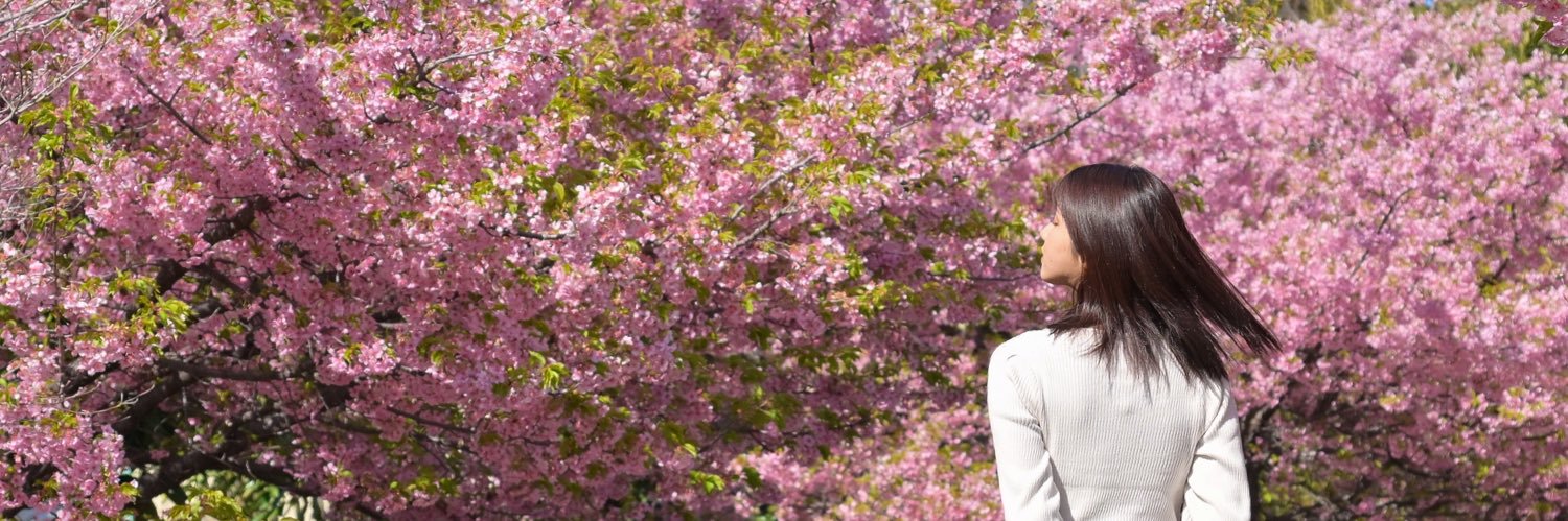 shio_tta's profile banner image