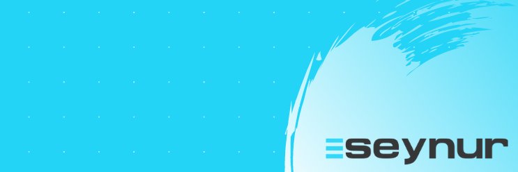 seynur's profile banner image