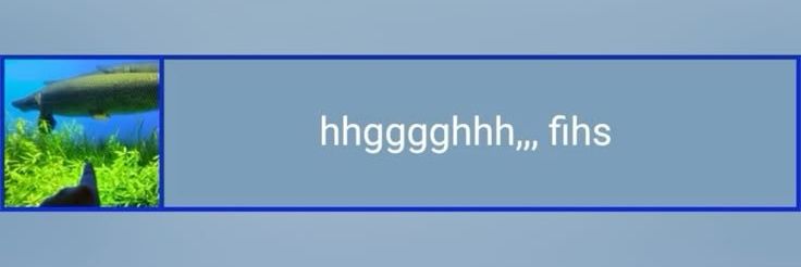 shellshockerzzz's profile banner image