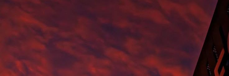 Daniel banner