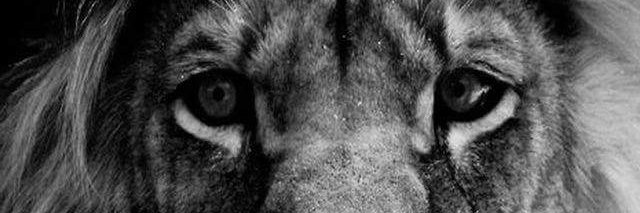 Camilaserna334's profile banner image