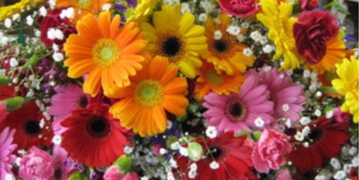 Flower226M's profile banner image